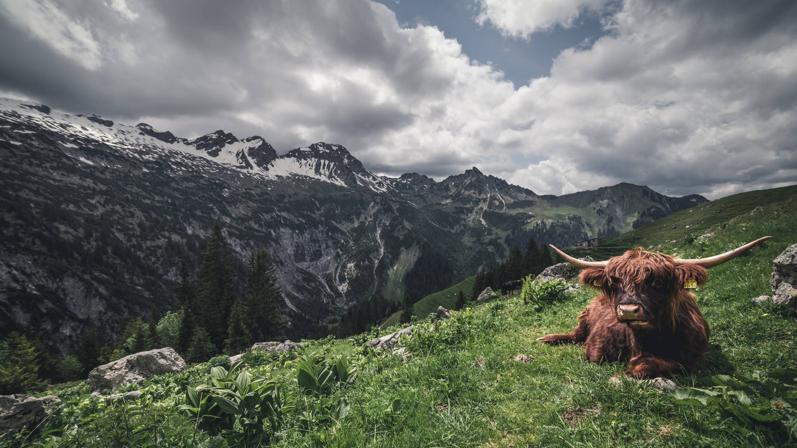 烽火与绿茵，当乌克兰封锁苏格兰遭遇西甲国家德比