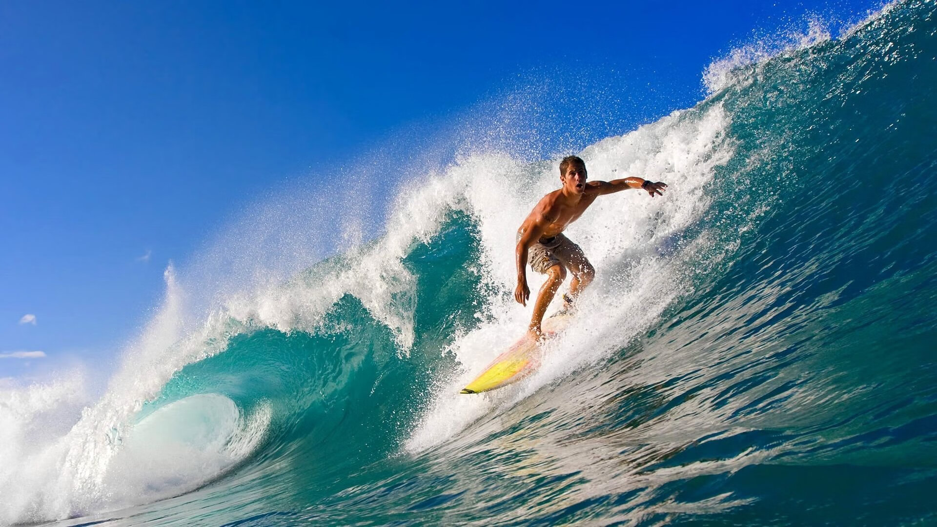 欧洲战火未熄,辽篮亮剑狭路相逢—竞技体育的争冠启示录