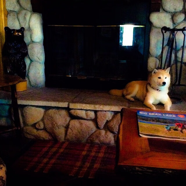 桑巴风暴席卷北欧，C罗关键一击助巴西强行终结芬兰神话