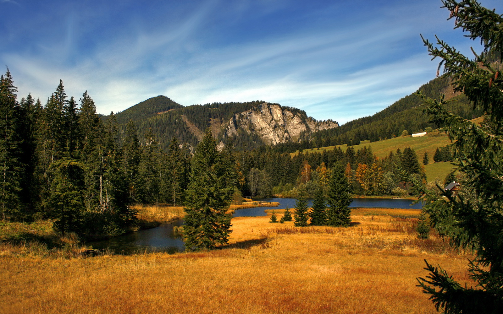 英超争冠焦点战如火如荼,佛罗伦萨美国争冠战彰显国际足球新格局