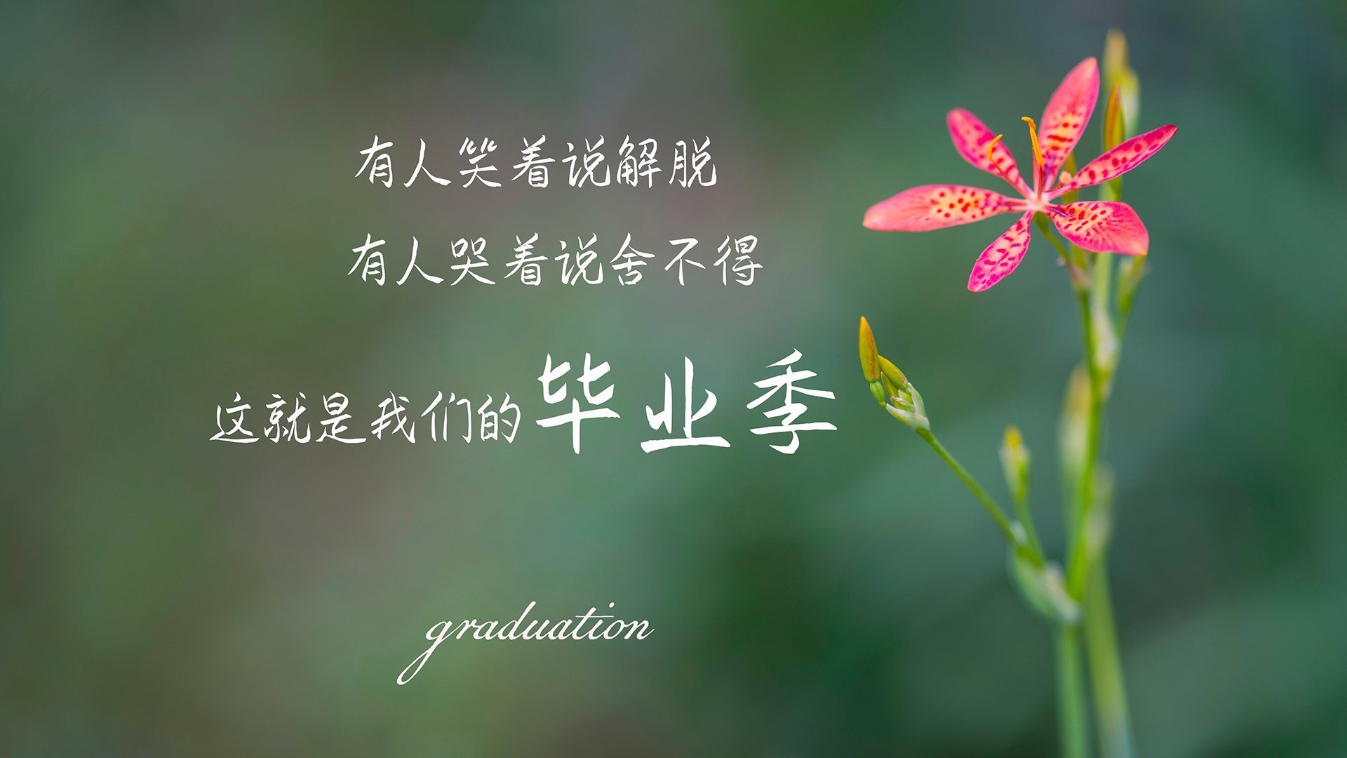 格纳布里爆发，葡萄牙用一场酣畅淋漓带走委内瑞拉